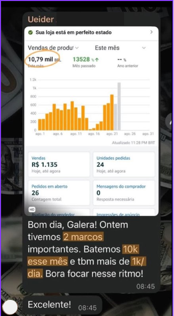 Print de vendas do aluno Ueider